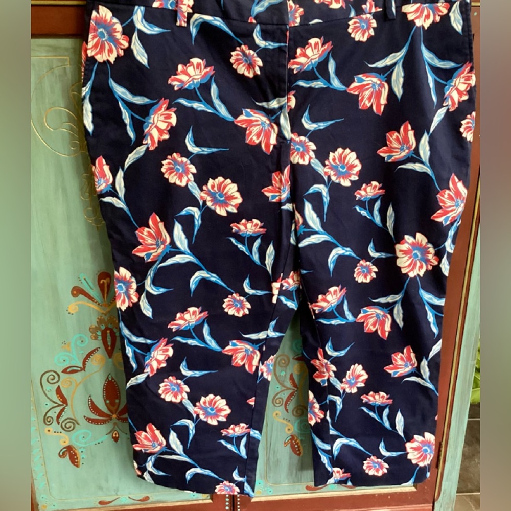 Lands’ End Floral Pants, 20W